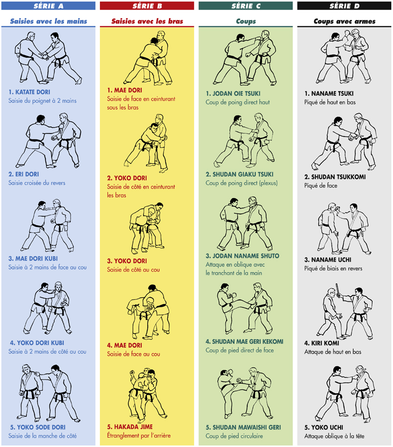 20-techniques-jujitsu