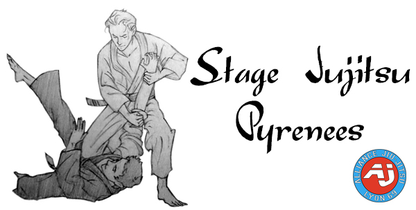 stage-jujitsu-pyrenees