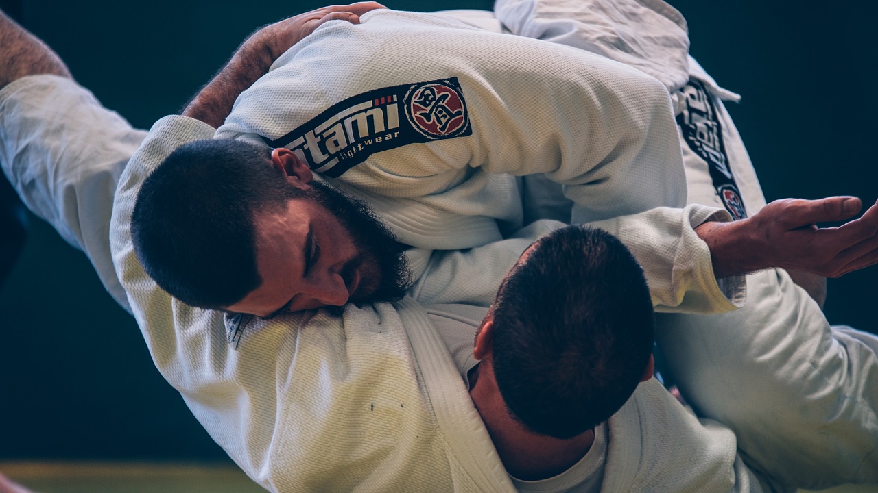 brazilian jiu-jitsu, bjj, fight-2957075.jpg